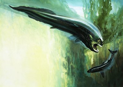 Dinichthys بواسطة مدرسة اللغة الإنجليزية
