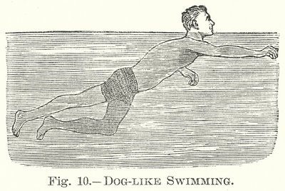 السباحة مثل الكلب (النقش) بواسطة مدرسة اللغة الإنجليزية