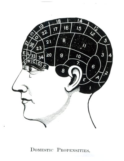 النزعات المحلية بواسطة مدرسة اللغة الإنجليزية