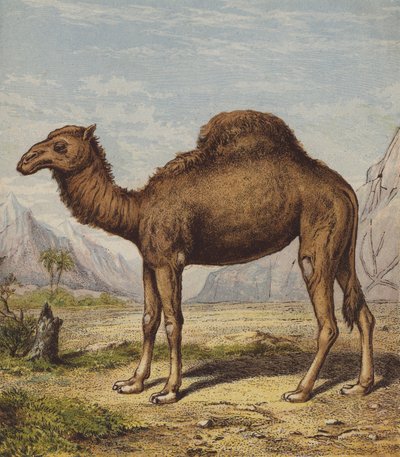  بواسطة مدرسة اللغة الإنجليزية
