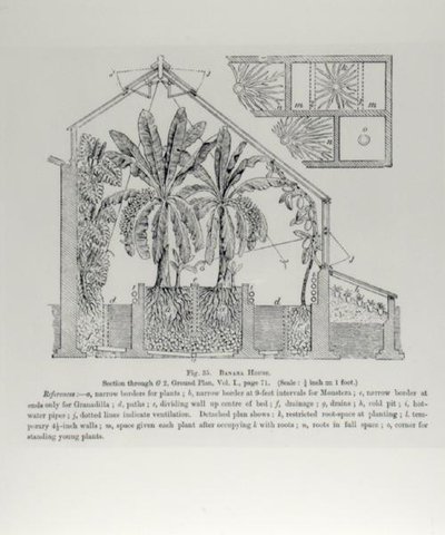 ارتفاع دفيئة ، من "دليل مزارع الفاكهة" لجون رايت ، تم نشره حوالي 1897-1905 (نقش) (صورة بالأبيض والأسود) بواسطة مدرسة اللغة الإنجليزية