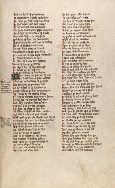 F151r من Ms New Coll 266 ، De confessio amantis بواسطة John Gower (قلم وحبر على رق) بواسطة مدرسة اللغة الإنجليزية