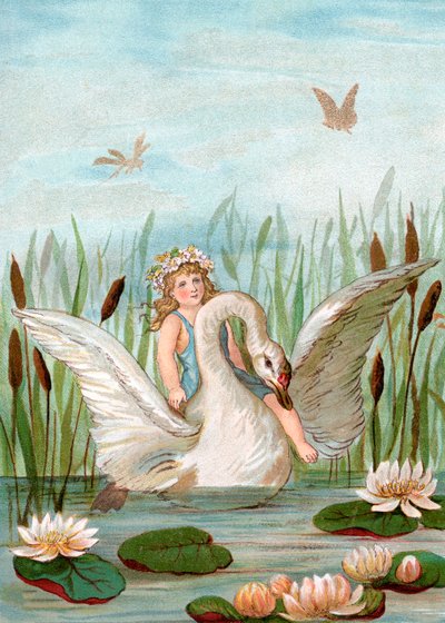 الجنية ركوب بجعة بيضاء بين القطط و Lilypads بواسطة مدرسة اللغة الإنجليزية