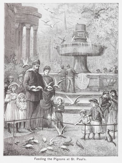 إطعام الحمام في كنيسة القديس بولس (نقش) بواسطة مدرسة اللغة الإنجليزية