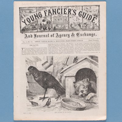 صورة من دليل The Fanciers Guide ، 1874 (انظر أيضًا 315145) بواسطة مدرسة اللغة الإنجليزية