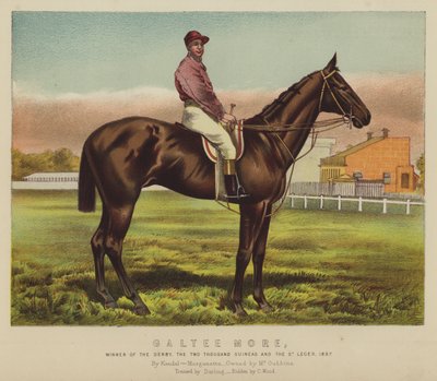 Galtee More ، الفائز بالديربي وألفي جنيه وسانت ليجيه بواسطة مدرسة اللغة الإنجليزية