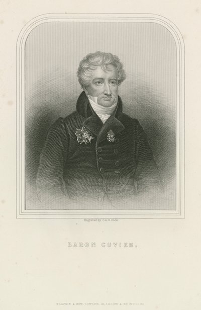 Georges Cuvier, French naturalist and zoologist (engraving) بواسطة مدرسة اللغة الإنجليزية
