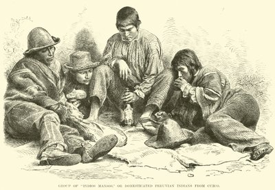 مجموعة من Indios Mansos ، أو هنود بيرو المستأنسين من كوزكو بواسطة مدرسة اللغة الإنجليزية