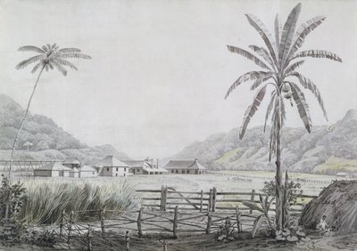 هالس هول ، جامايكا ، c.1780 (مرحاض وجرافيت على ورق) بواسطة مدرسة اللغة الإنجليزية