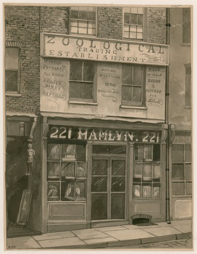 Hamlyns Zoological Trading ، 221 St Georges Street ، London Docks (مرحاض على ورق) بواسطة مدرسة اللغة الإنجليزية