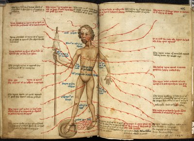 Harley 3719، ff.158v-159 صورة مصغرة لرجل سفك الدماء بقدم واحدة في وعاء نزيف ومغزل في يده ، رسم توضيحي من "منوعات بها نصوص فلكية وتقويمية وطبية وفلسفية مختلفة" بواسطة مدرسة اللغة الإنجليزية