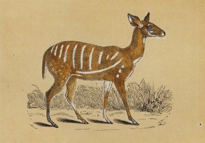  بواسطة مدرسة اللغة الإنجليزية