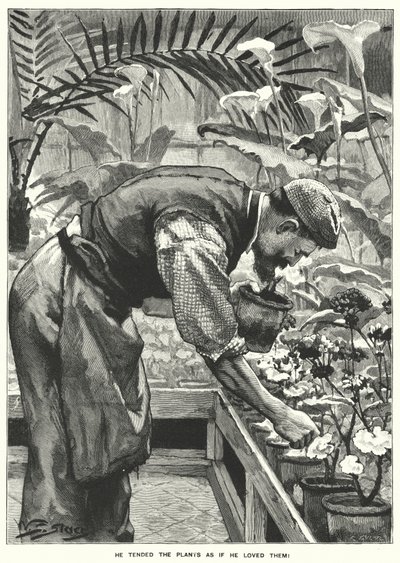 كان يعتني بالنباتات وكأنه يحبها! (نقش) بواسطة مدرسة اللغة الإنجليزية