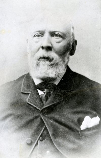 هنري واليس (1830-1916) بواسطة مدرسة اللغة الإنجليزية