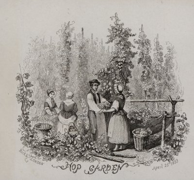 Hop garden (engraving) بواسطة مدرسة اللغة الإنجليزية