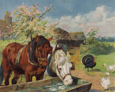 Horses drinking from a water trough (colour litho) بواسطة مدرسة اللغة الإنجليزية