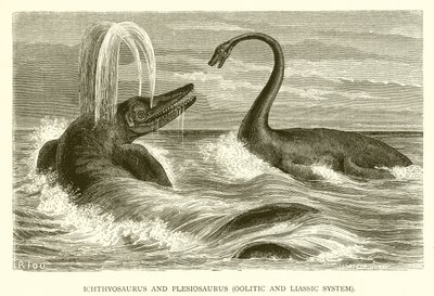 Ichthyosaurus و Plesiosaurus ، نظام Oolitic و Liassic بواسطة مدرسة اللغة الإنجليزية