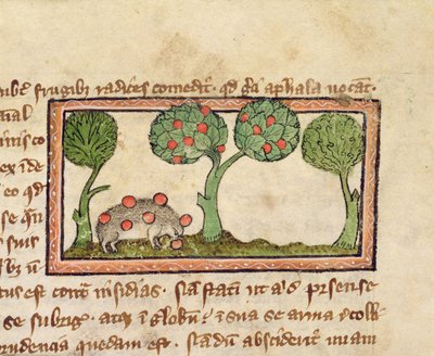 MS 379 f.13r MS 379 f.13r قنفذ يقطف التفاح، تفاصيل من كتاب بيستاري باللغة الإنجليزية بواسطة مدرسة اللغة الإنجليزية