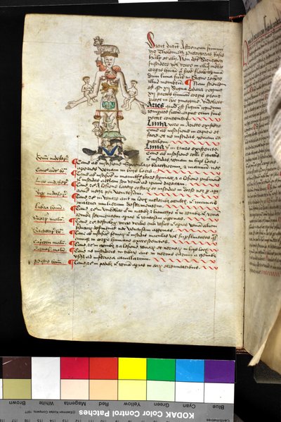 MS Hunter 251 f.47v ، رسم توضيحي لـ "رجل البروج" ، حوالي 1475-1500 (قلم وحبر وتمبرا على ورق) بواسطة مدرسة اللغة الإنجليزية