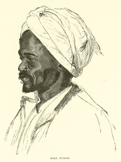 ذكر النوبي بواسطة مدرسة اللغة الإنجليزية