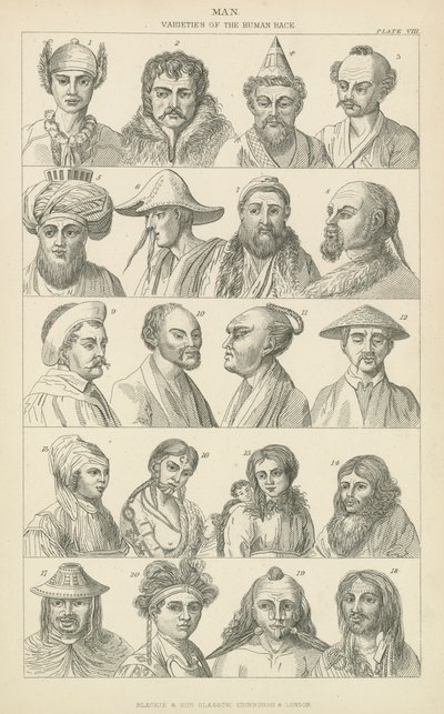 Man. Varieties of the human race (engraving) بواسطة مدرسة اللغة الإنجليزية