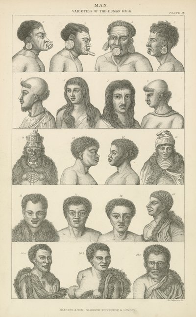 Man. Varieties of the human race (engraving) بواسطة مدرسة اللغة الإنجليزية