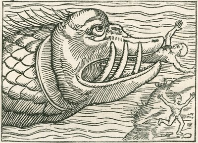 رجل تأكله حية البحر. تم العثور على رسم توضيحي على هامش خريطة أعدها Olaus Magnus بواسطة مدرسة اللغة الإنجليزية