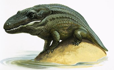 Mastodosaurus بواسطة مدرسة اللغة الإنجليزية