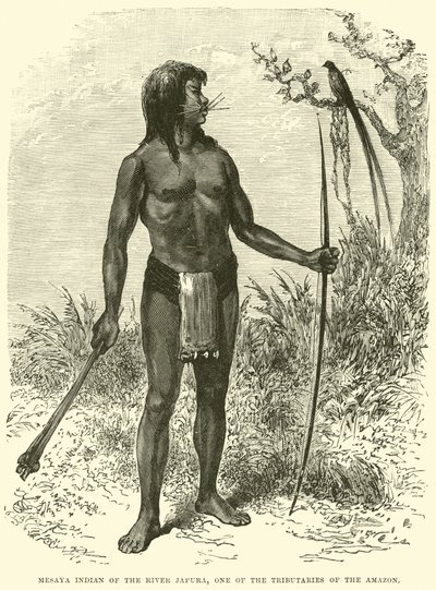 Mesaya Indian of the River Japura ، أحد روافد الأمازون بواسطة مدرسة اللغة الإنجليزية
