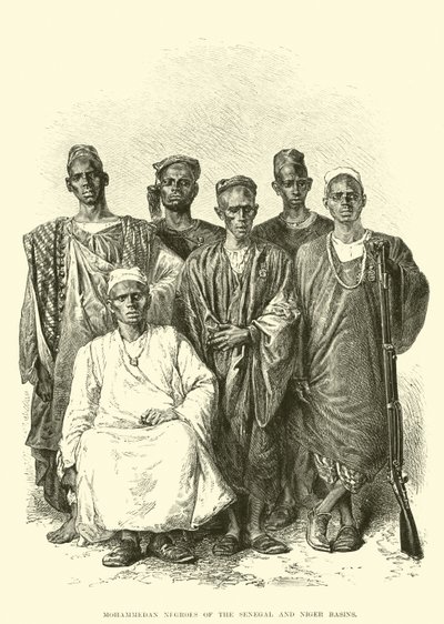 Mohammedan Negroes of the Senegal and Niger Basins (engraving) بواسطة مدرسة اللغة الإنجليزية