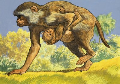 قرد يحمل قرد رضيع بواسطة مدرسة اللغة الإنجليزية