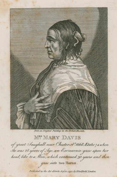 السيدة ماري ديفيس من Saughall قرب Chester ، 1668 بواسطة مدرسة اللغة الإنجليزية