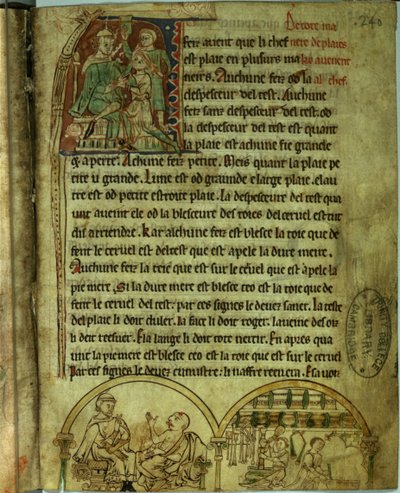 الآنسة O.1.20.f.241v جيروم: طبيب يزور مريضًا وصيادلة ، من De Nominibus Herbraicis (ورق) بواسطة مدرسة اللغة الإنجليزية