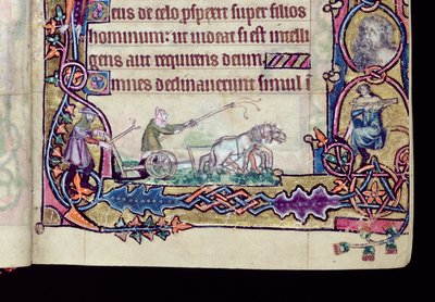 Ms 1-2005 ، صص. 76v-77r: ديفيد والأحمق ، مؤرخ بالأحرف الأولى من Macclesfield Psalter ، Use of Sarum ، East Anglia ، c.1330 (رق) (تفاصيل 276994) بواسطة مدرسة اللغة الإنجليزية