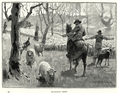 حشد الخراف (نقش) بواسطة مدرسة اللغة الإنجليزية