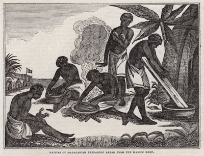 Natives of Madagascar preparing bread from manioc root (engraving) بواسطة مدرسة اللغة الإنجليزية