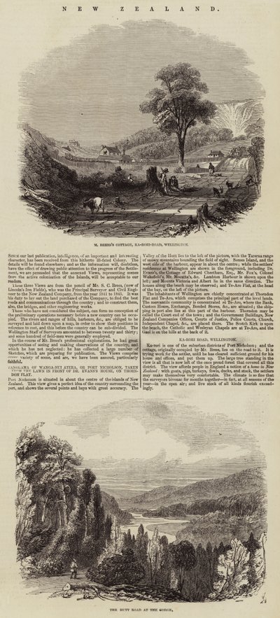 New Zealand (engraving) بواسطة مدرسة اللغة الإنجليزية