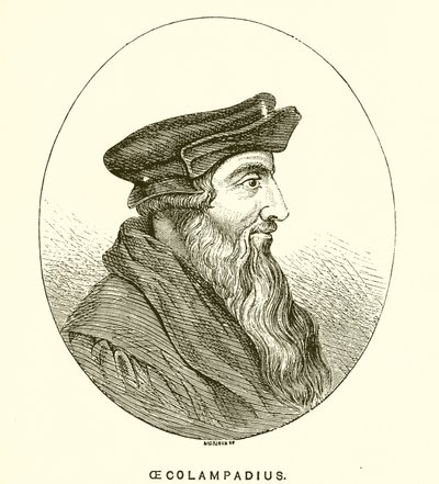 Oecolampadius بواسطة مدرسة اللغة الإنجليزية