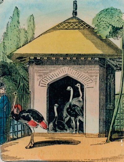 النعامة وإيمو هاوس في حديقة حيوان لندن. 1840s بواسطة مدرسة اللغة الإنجليزية