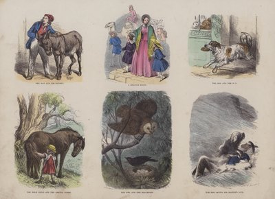 صفحة من كتاب الصور الجذاب (نقش ملون) بواسطة مدرسة اللغة الإنجليزية