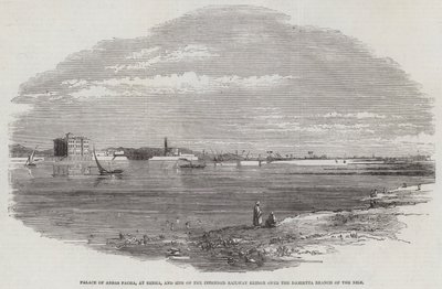 Palace of Abbas Pacha, at Benha, and Site of Intended Railway Bridge over the Damietta Branch of the Nile (engraving) بواسطة مدرسة اللغة الإنجليزية