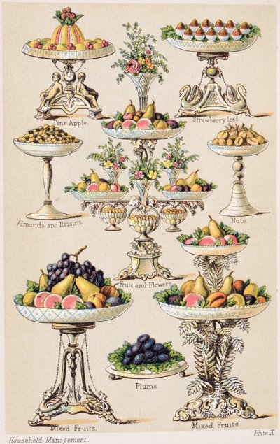 لوحة X من كتاب Beeton Book of Household Management المجلد 2 ، تحرير السيدة إيزابيلا بيتون بواسطة مدرسة اللغة الإنجليزية