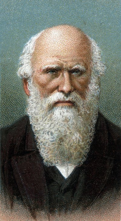 صورة تشارلز روبرت داروين (1809-1882) - من سلسلة "قادة الرجال" - الطباعة الحجرية الملونة - المدرسة الإنجليزية ، القرن العشرين - بواسطة مدرسة اللغة الإنجليزية