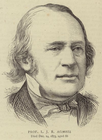 Professor L J R Agassiz (engraving) بواسطة مدرسة اللغة الإنجليزية