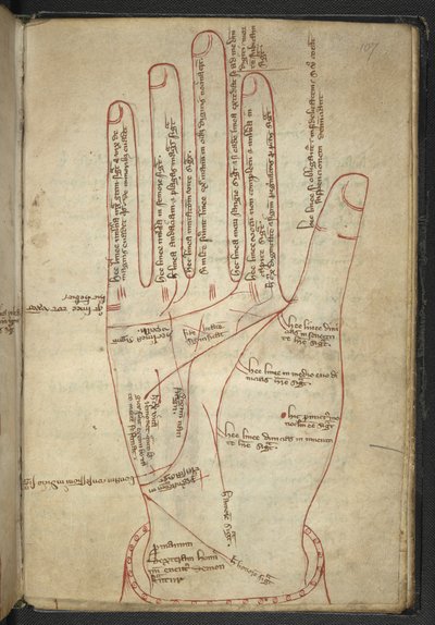 Royal MS 12 C XII f.107r قراءة اليدين ، في مجموعة متنوعة من العصور الوسطى (حبر على ورق) بواسطة مدرسة اللغة الإنجليزية