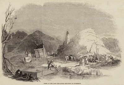 Scene of the Late Gun-Cotton Explosion at Faversham (engraving) بواسطة مدرسة اللغة الإنجليزية