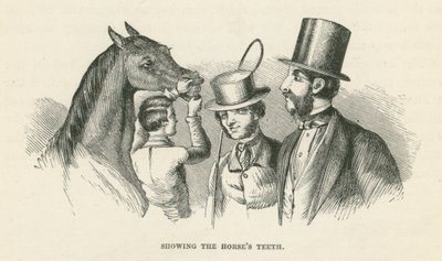 إظهار أسنان الحصان (نقش) بواسطة مدرسة اللغة الإنجليزية