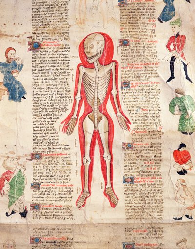 هيكل عظمي ، من De arte phisicali e de cirugia بقلم جون أردين ، 1412 بواسطة مدرسة اللغة الإنجليزية