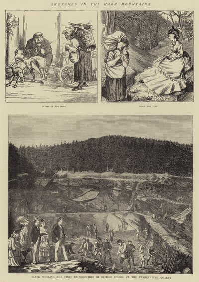Sketches in the Harz Mountains (engraving) بواسطة مدرسة اللغة الإنجليزية