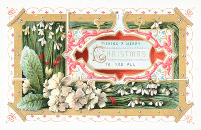 Snowdrops والزهور ، بطاقة عيد الميلاد بواسطة مدرسة اللغة الإنجليزية